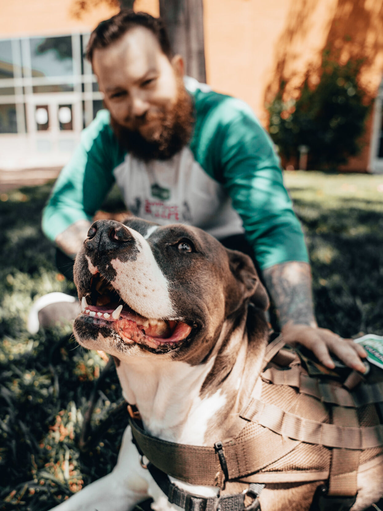 Purina Dog Chow - Service Dog Salute Image